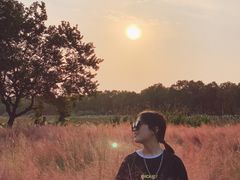 -艾溪湖湿地公园