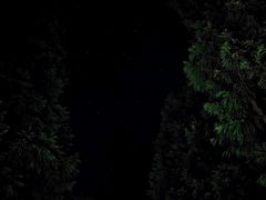 -重庆睡佛山森林公园