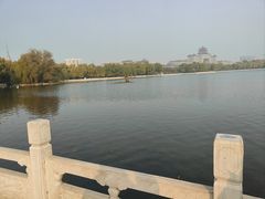 -莲花池公园