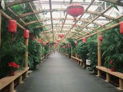-东方华地城湿地温泉度假区