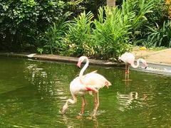 -九龙公园