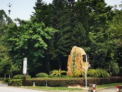 -三水森林公园