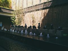 -汇雅温泉
