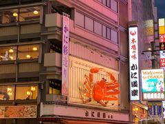 -蟹道乐(道顿堀本店)