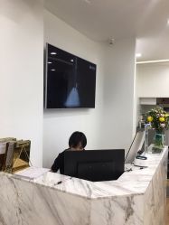 -YESIDO椰岛造型