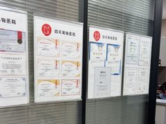 -四月宠物医院·猫专科·心脏专科·内科(转塘店)