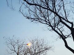 -青岛市图书馆