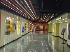 -万达影城(汉街万达广场IMAX店)