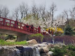 -大连植物园