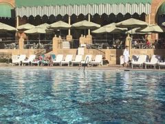 -拉斯维加斯永利酒店