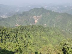 -午潮山国家森林公园