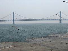 -星海湾跨海大桥
