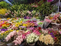 -朝来春花卉市场