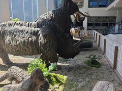-中国第四纪冰川遗迹陈列馆