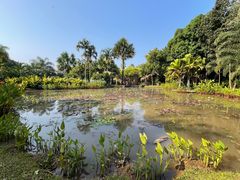 -中国科学院西双版纳热带植物园