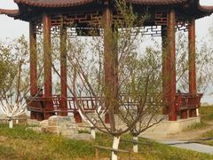 -天津东丽湖风景区