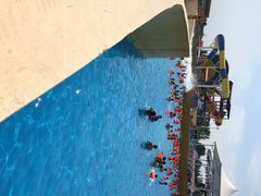 海盗传奇水世界-海盗传奇水世界