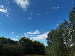 -马家湾湿地公园