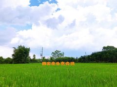 -迪茵湖田家舍生态农场