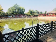 -尚庄度假村·庭台树下·户外烧烤·团建CS·轰趴营地(上庄水库店)