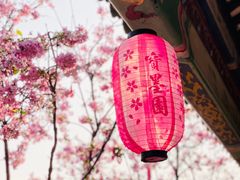 -宝墨园景区