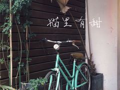 -猫里有甜