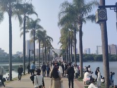 -南宁南湖公园