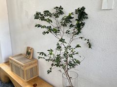 -漫笙舍Manse·咖啡·民宿