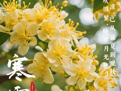-农乐园炭火烤肉(繁花中心店)