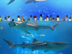 -珠海长隆海洋王国