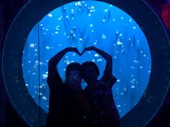 -成都浩海立方海洋公园