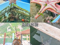 -南丫岛