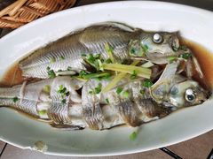 -听风阁农家私房菜茶楼(龙坞店)