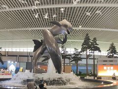 -青岛胶东国际机场