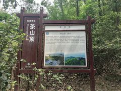 -东莞市大岭山森林公园