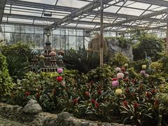 -南宫五洲植物乐园