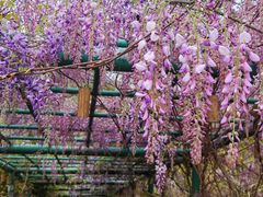 -花亭湖风景名胜区