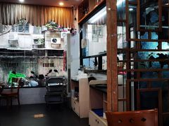 -煲煲掂风味煲仔饭餐厅(西区店)