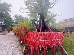 -代州文庙
