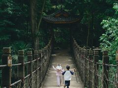-凤栖山