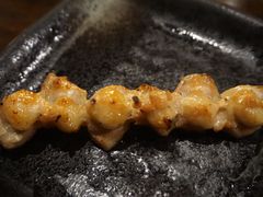 -串鑫