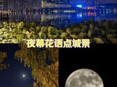 -天鹅湖体育公园