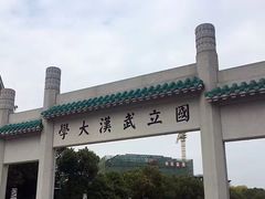 -武汉大学-樱园
