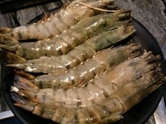 -熊出没日本烧肉放题