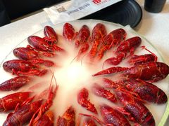 -红盔甲·小龙虾(天钥桥店)