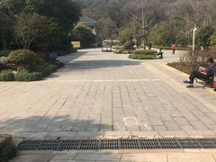 -巢湖姥山岛