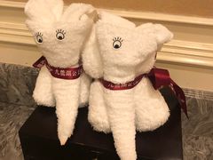 -中旅阿那亚九龙湖·公主酒店