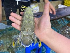 -达叔香味海鲜(海棠68环球美食街店)