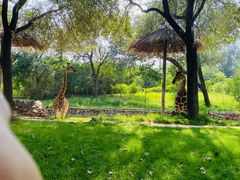 -北京野生动物园