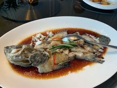野葱麒麟蒸东星斑-粤界(望京金辉店)
